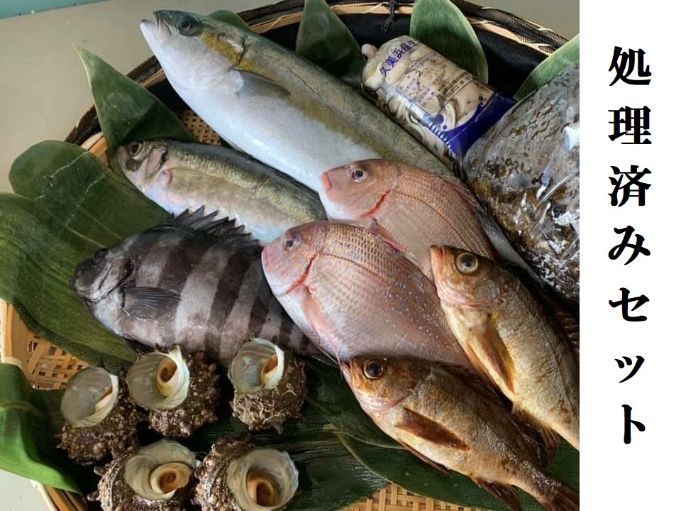 山一　処理済みセット