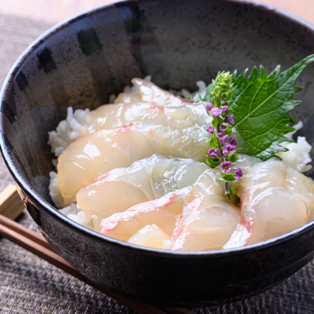 丹後の地魚 魚の旨味だし「漬け丼」 おまかせ 5食セット（特製追いタレ付）