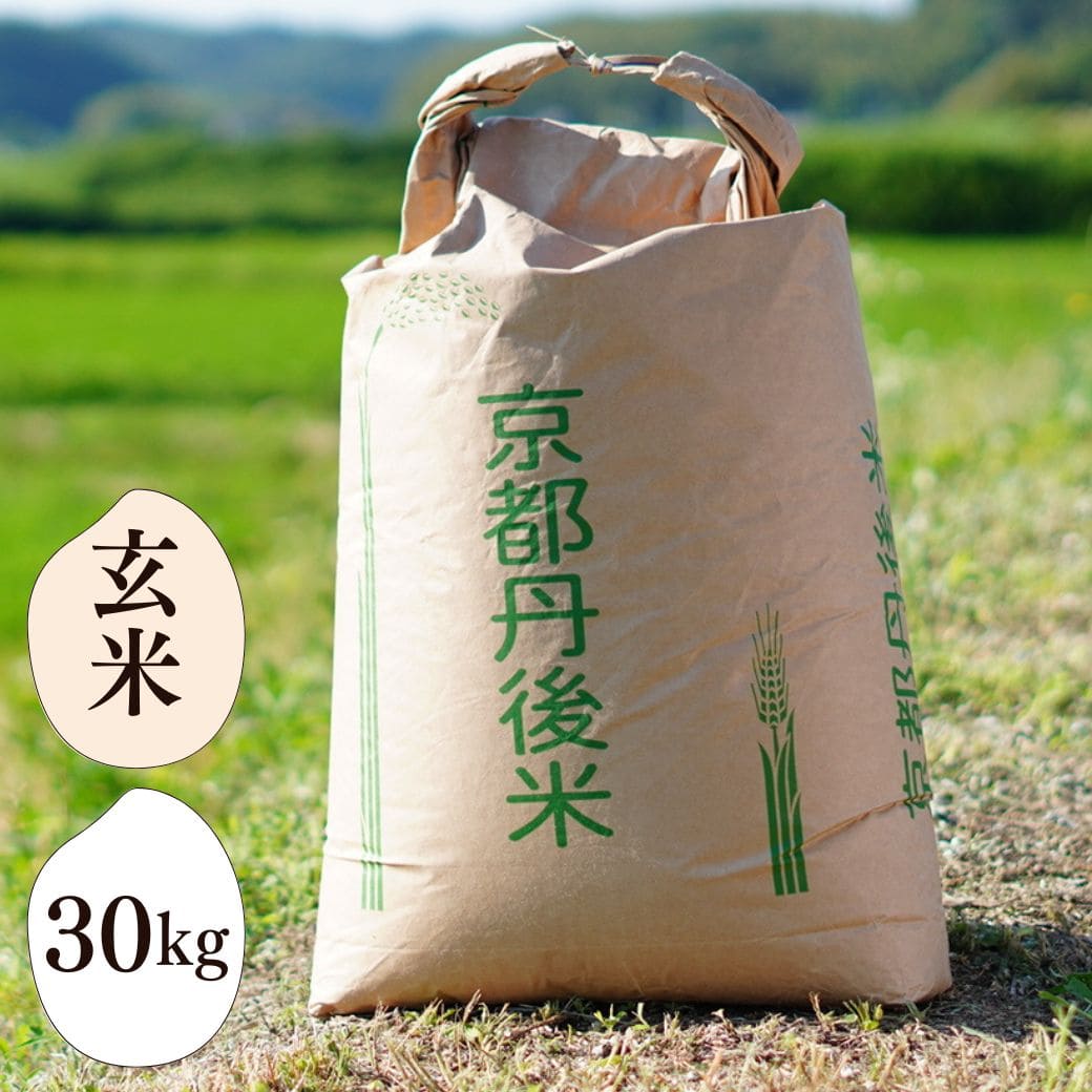 丹後のコシヒカリ 30kg 玄米