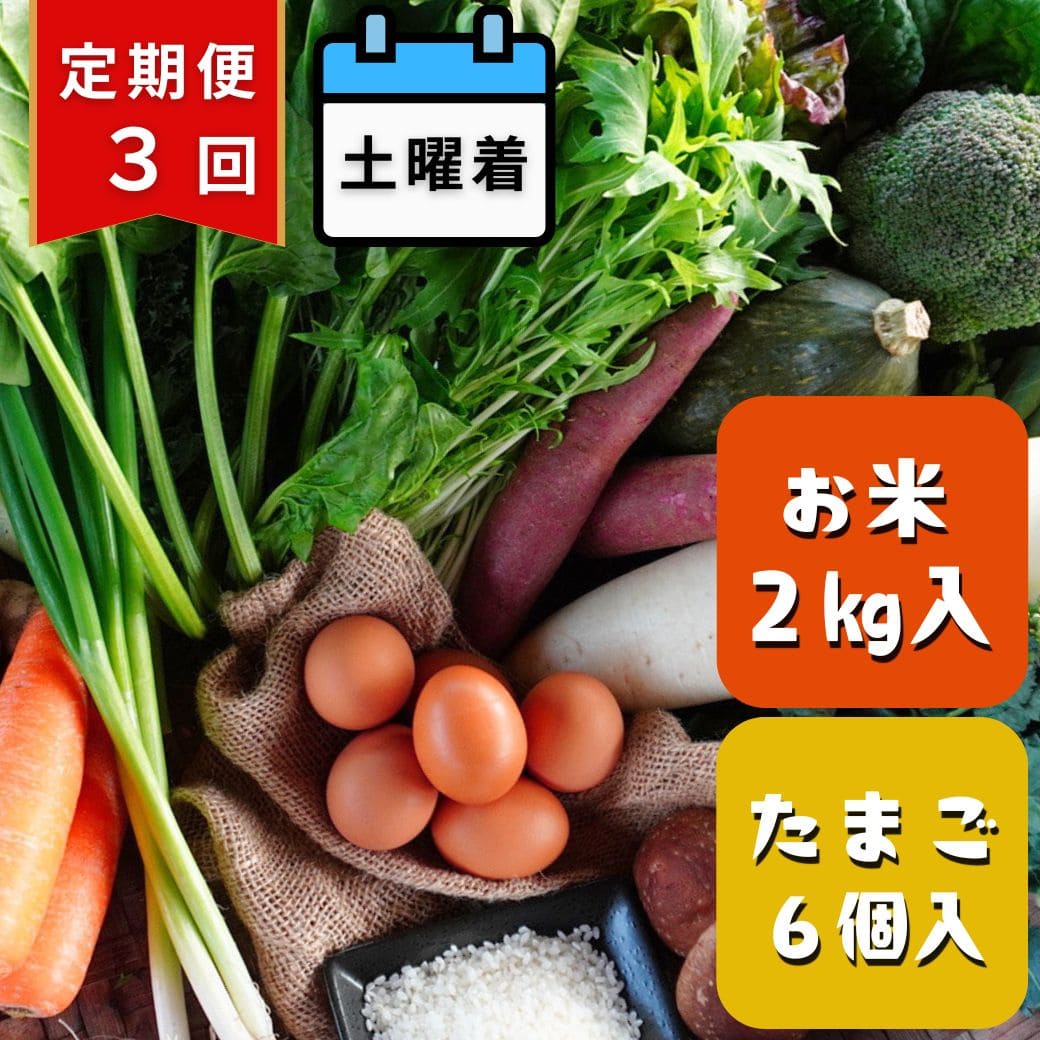 【定期便3回・土曜着】丹後・旬の野菜6～8種とこだわり卵と丹後の米詰め合わせセット