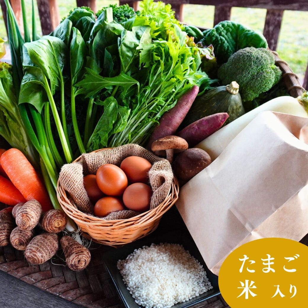 丹後・旬の野菜6～8種とこだわり卵と丹後の米詰め合わせセット
