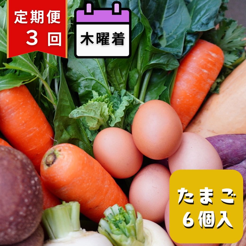 【定期便3回・木曜着】丹後・旬の野菜6～8種とこだわり卵詰め合わせセット