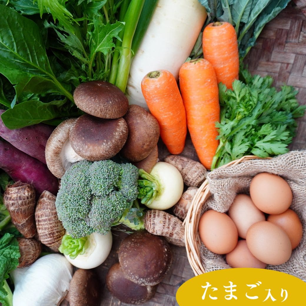 丹後・旬の野菜6～8種とこだわり卵詰め合わせセット