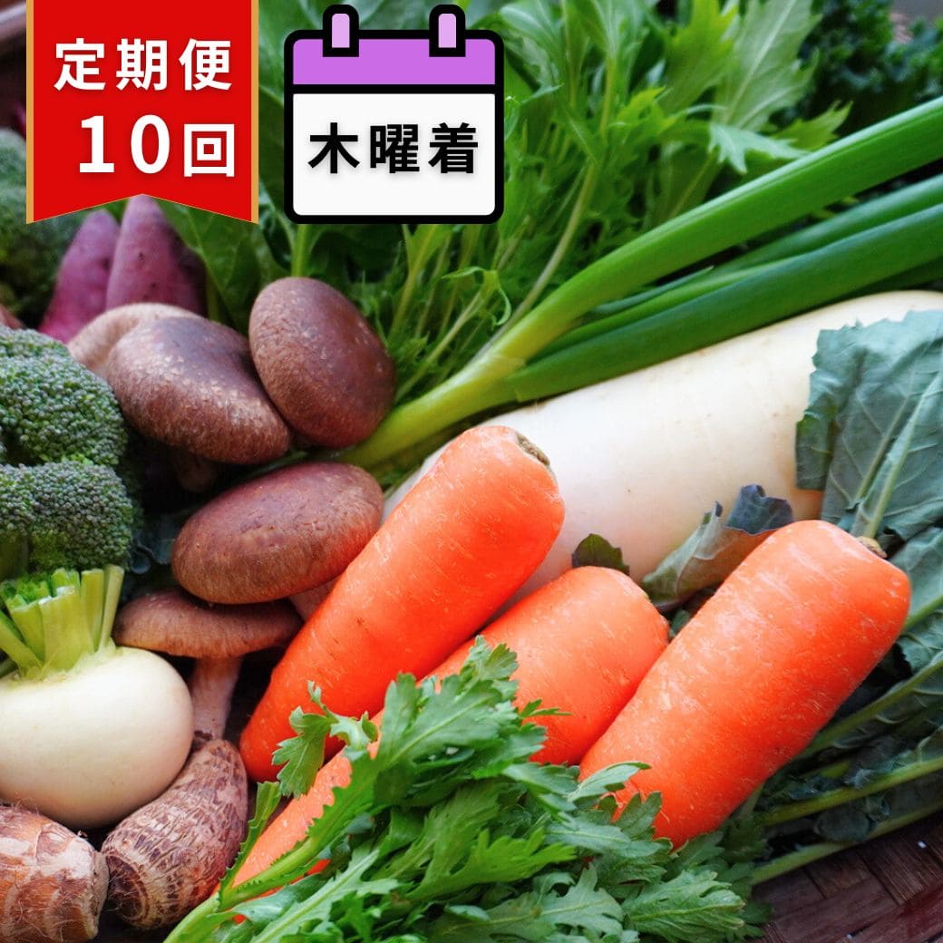 【定期便10回・木曜着】丹後・旬の野菜6～8種たっぷり詰め合わせセット