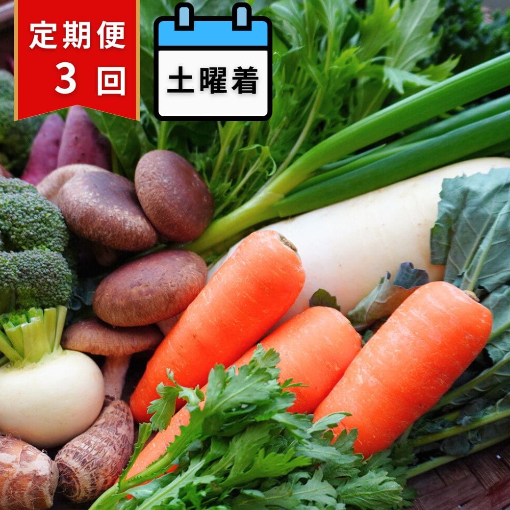 【定期便3回・土曜着】丹後・旬の野菜6～8種たっぷり詰め合わせセット