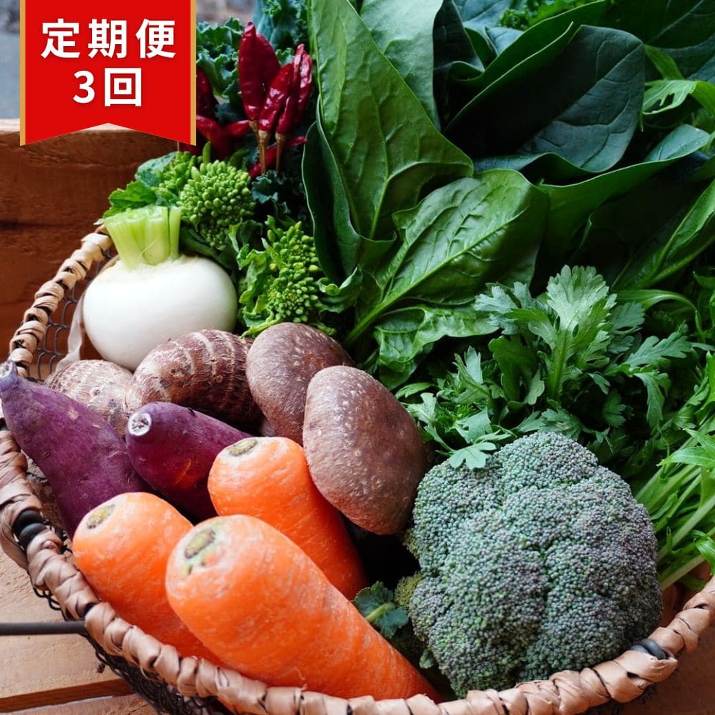 【定期便3回】丹後・旬の野菜6～8種たっぷり詰め合わせセット