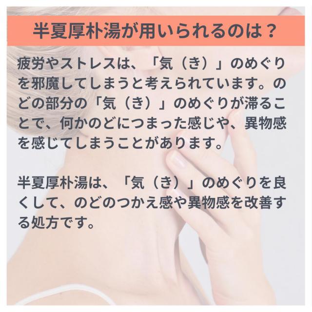 半夏厚朴湯 エキス錠 240錠 のどのつかえ感 漢方薬 Br 不安神経症 神経性胃炎 つわり せき しわがれ声 第２類医薬品 大峰 はんげこうぼくとう 婦人薬