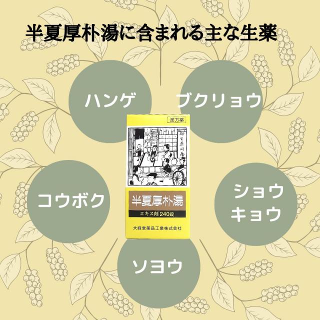 半夏厚朴湯 エキス錠 240錠 のどのつかえ感 漢方薬 Br 不安神経症 神経性胃炎 つわり せき しわがれ声 第２類医薬品 大峰 はんげこうぼくとう 婦人薬