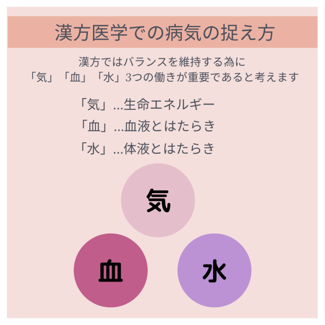 補中益気湯s2