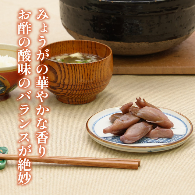 甘酢漬 みょうが』【メール便対応1通2個まで】