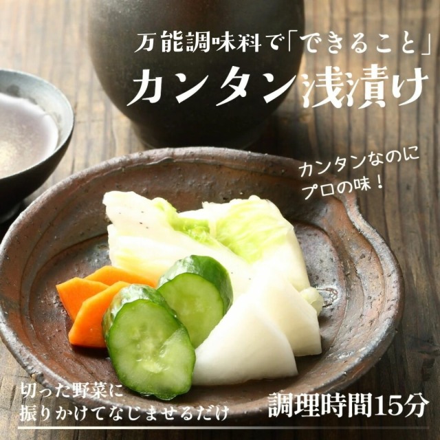 万能調味料』【商品名変更 旧 粉末浅漬け革命】【メール便対応1通8個まで】