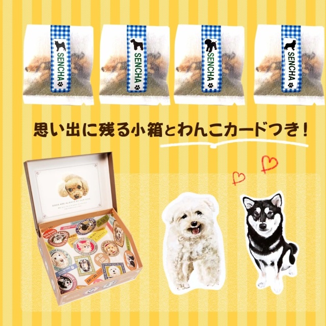 犬 好きさんに贈る 無添加 お茶漬け ギフト わんこ BOX』【お茶漬け8袋