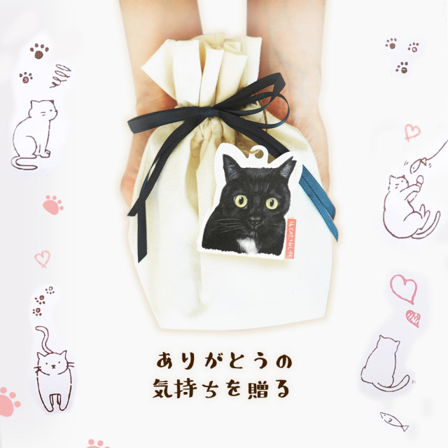 猫 好きさんに贈る 無添加 お茶漬けの素 にゃんこ 巾着』【メール便