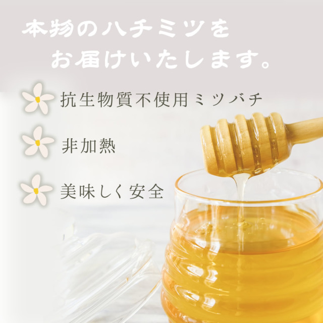 2025年5月採蜜！『和歌山でとれたみかんのハチミツ』【メール便対応1通