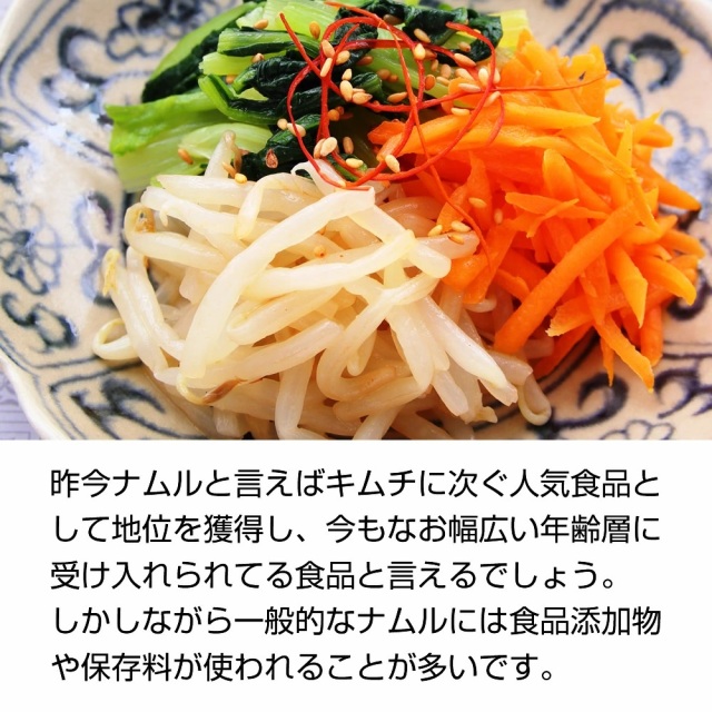 ナムル革命』【メール便対応1通8個まで】