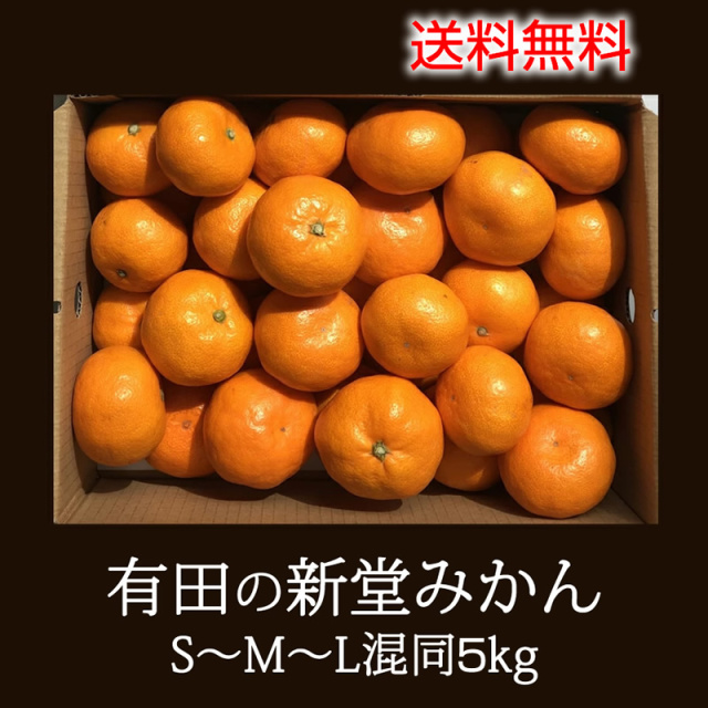 【申込期間1月5日まで予定】順次発送『有田の新堂みかん』【日時指定不可】【みかん農家さん直送！送料無料】 SML混合5kg
