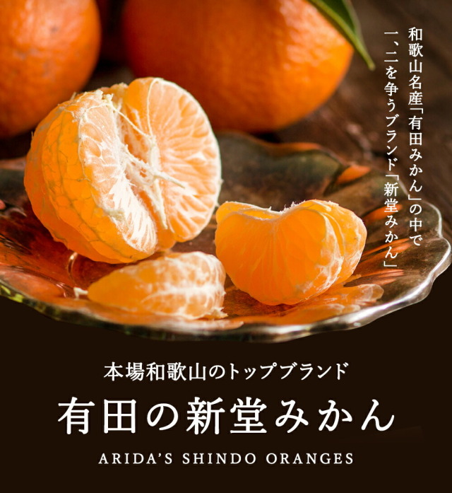 申込期間1月5日まで予定】順次発送『有田の新堂みかん』【日時指定不可