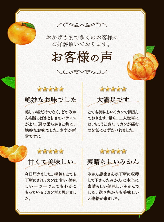 申込期間1月5日まで予定】順次発送『有田の新堂みかん』【日時指定不可