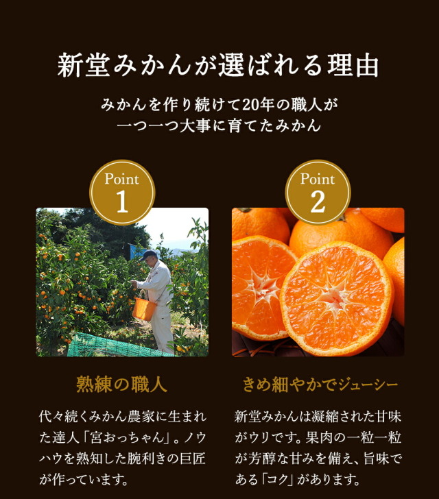 申込期間1月まで予定】順次発送『有田の新堂みかん』【日時指定不可