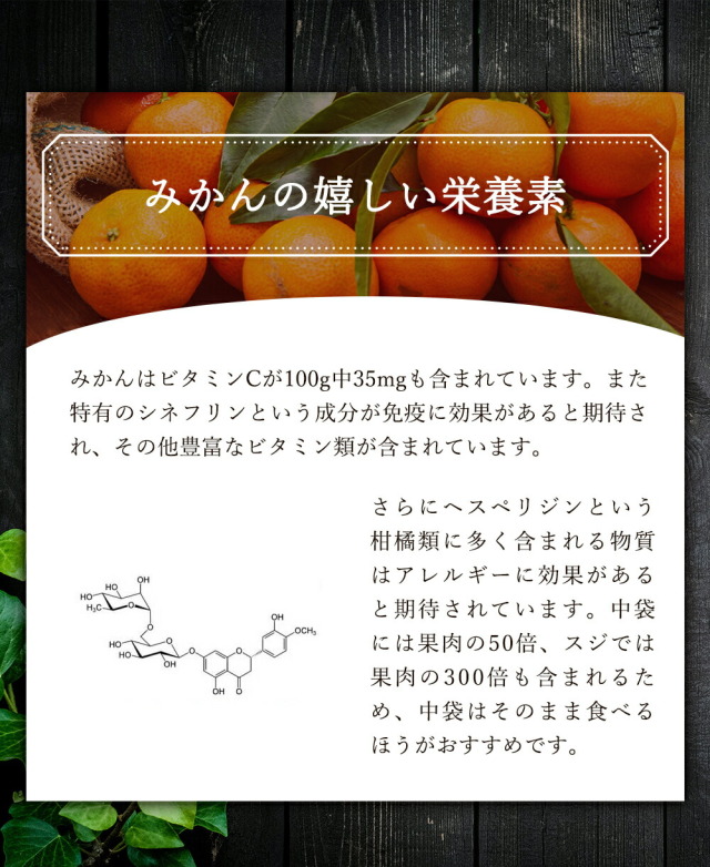 申込期間1月5日まで予定】順次発送『有田の新堂みかん』【日時指定不可