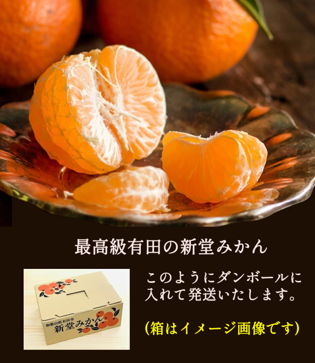申込期間1月5日まで予定】順次発送『有田の新堂みかん』【日時指定不可