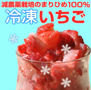 『冷凍いちご500g』