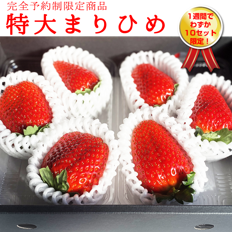 【今季販売終了】【販売期間1月〜3月予定】『紀州イチゴ「特大まりひめ」』【ギフト対応】日付指定同梱不可【販売期間1月〜3月予定】