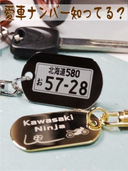 金属製　楕円型小　ナンバープレートキーホルダー