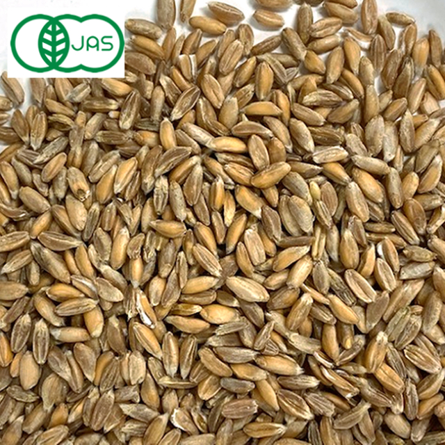 業務用 有機エンマー小麦玄麦（丸粒）ドイツ産 25kg タテノ