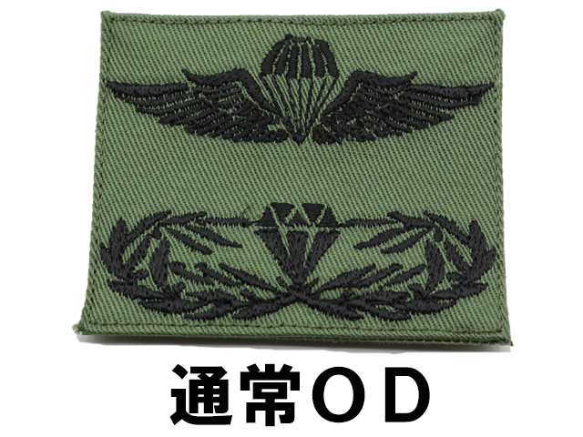 陸上自衛隊旧型ネジ式!レンジャー徽章!プレミア品!入手不可能品!アンティーク品! 自衛隊 グッズ 陸上自衛隊 レンジャー 徽章 Ranger ピンバッチ