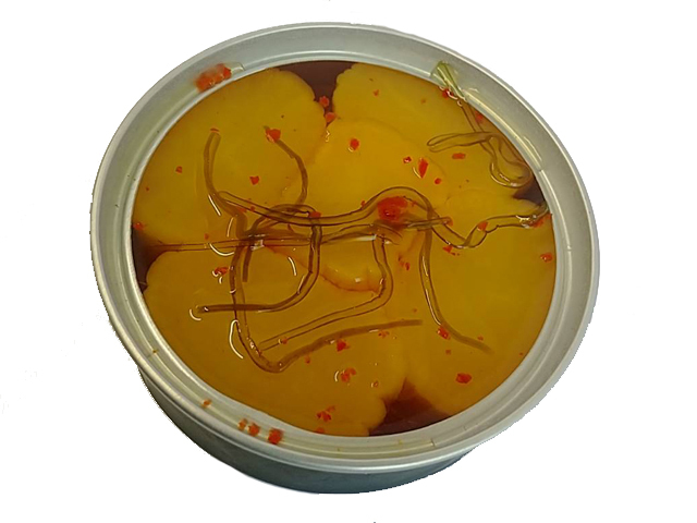 戦闘糧食1型（かんめし）たくあん漬け