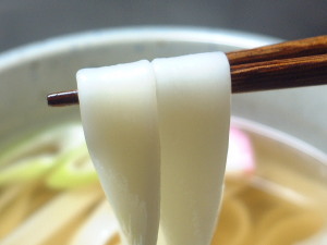 かけきしめん300・225