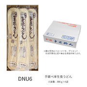 手延べ半生長うどん300ｇ×6袋