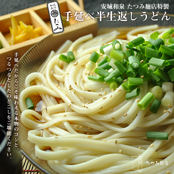 手延べ半生長うどん