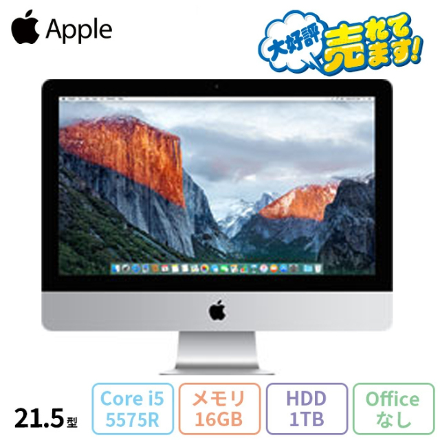 セール！Apple iMac 21.5インチ (A1418) 16g 1TB