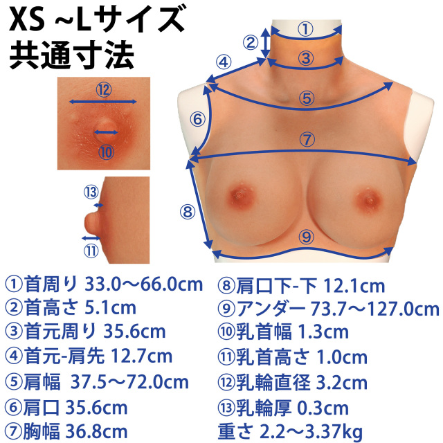 クロップトップ詳細寸法2026-6
