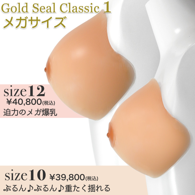 GS10-12