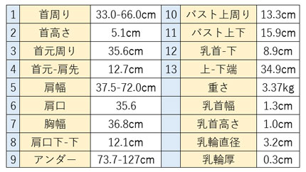 クロップトップサイズ2-1