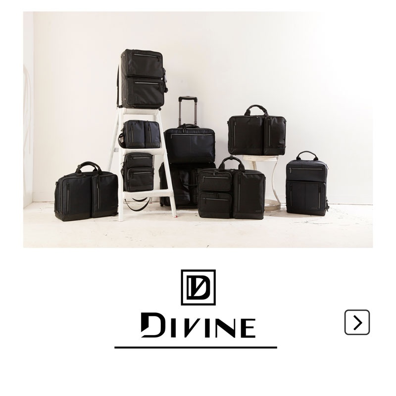 DIVsmhimg