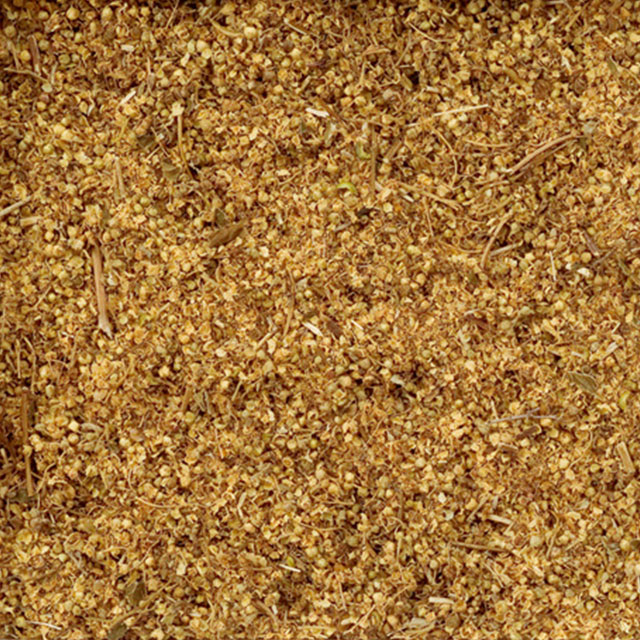 04044_メドウスウィート（セイヨウナツユキソウ）