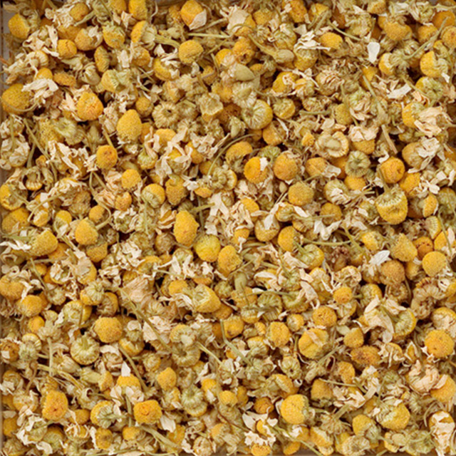 142ｶﾓﾐｰﾙｼﾞｬｰﾏﾝＥＸ