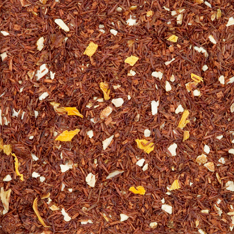 1503_ドリームキャッチャー