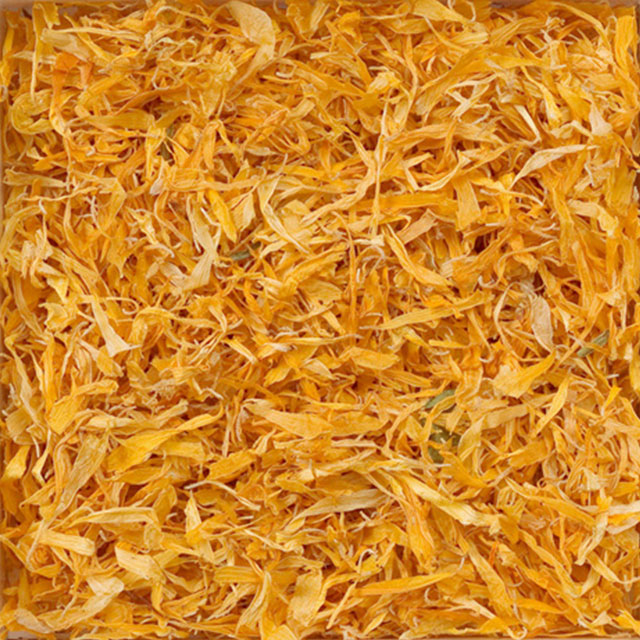 157_マリーゴールドペタル（キンセンカ）