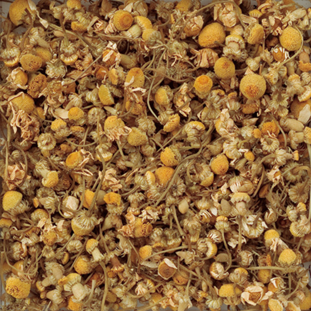 1656_カモミールジャーマンオーガニック