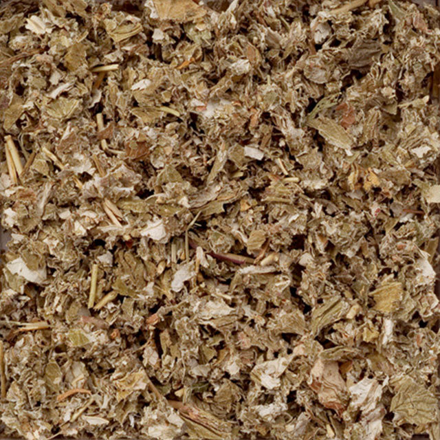 182ラズベリーﾘｰﾌｶｯﾄ