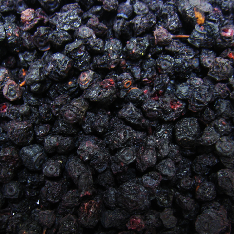 20103_ビルベリー ドライ