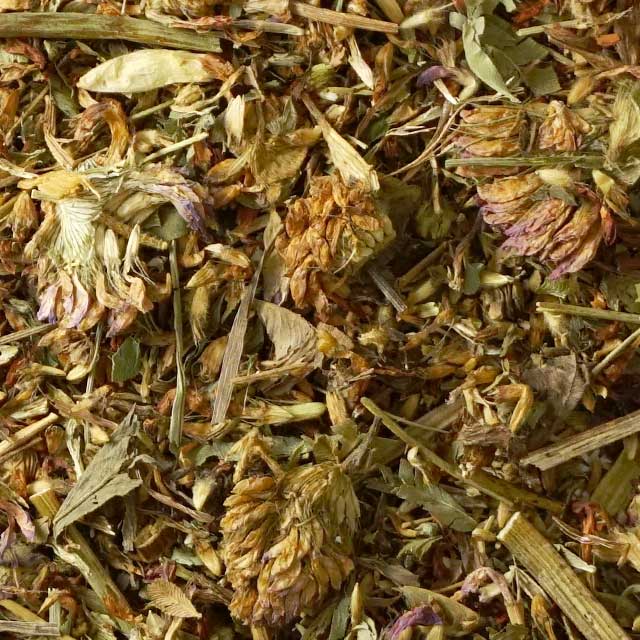 レッドクローバー