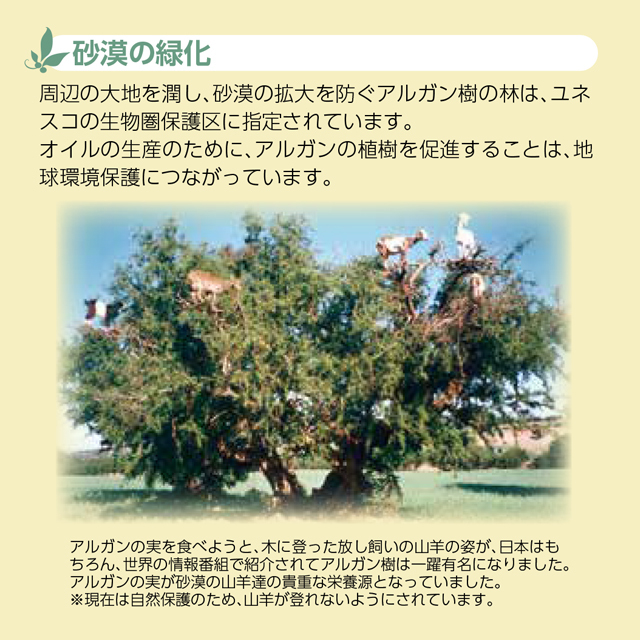 ジットアルガン　エキストラヴァージンピュアアルガンオイル