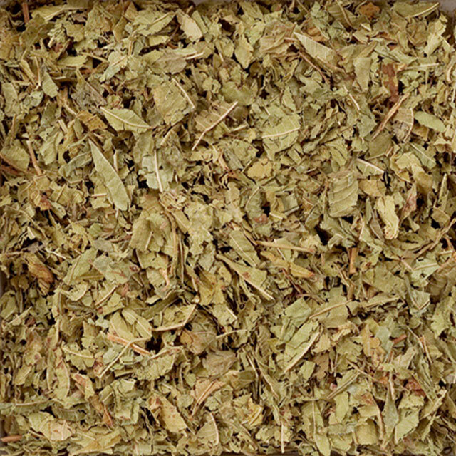 185-1_ベルベイヌカット（レモンバーベナ）