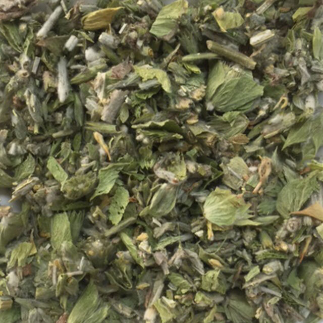 22727_マウンテンハーブシデリティス）